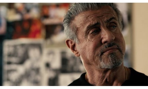 STALLONE BELGESELİ SONBAHARDA